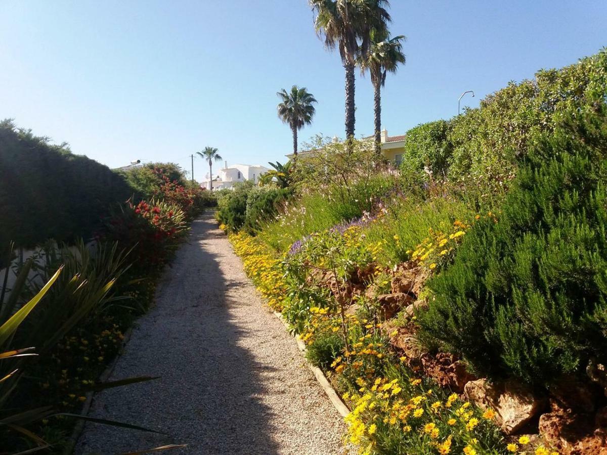 Coelha - Pool - Free Wi-fi - Air Con Appartement